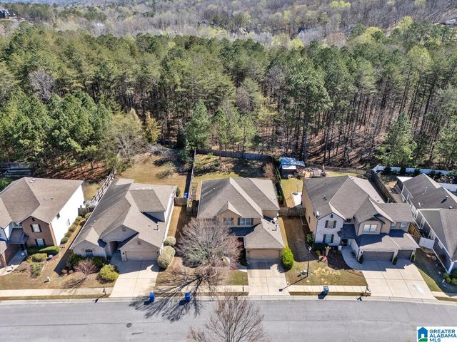 161 CHELSEA STATION DRIVE, Chelsea, AL 35043