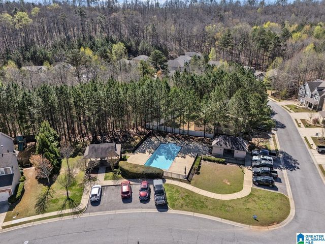 161 CHELSEA STATION DRIVE, Chelsea, AL 35043