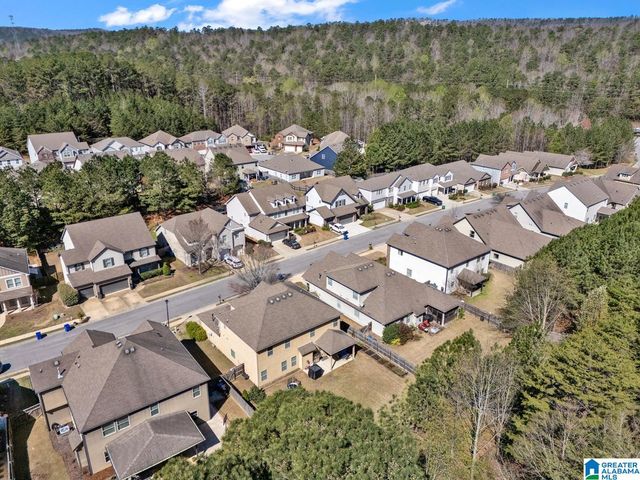 161 CHELSEA STATION DRIVE, Chelsea, AL 35043