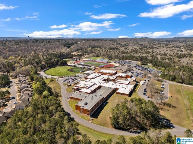 161 CHELSEA STATION DRIVE, Chelsea, AL 35043