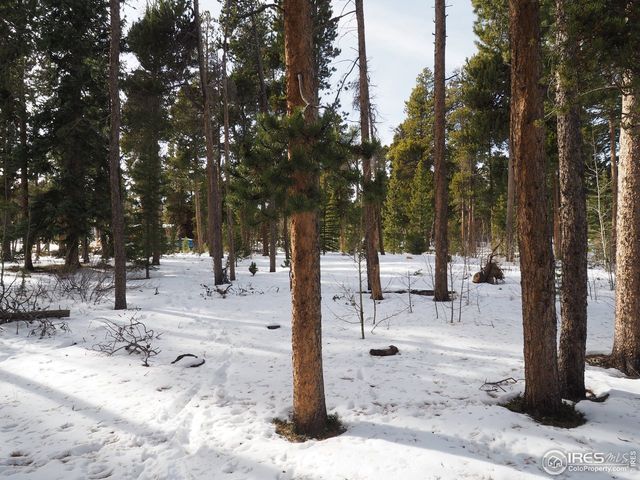 0 Long Trail Rd, Black Hawk, CO 80422