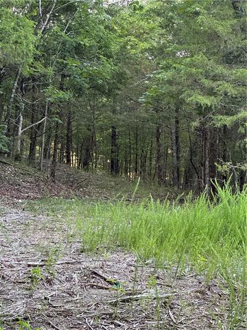 TBD County Road 152 and County Road 1524, Eureka Springs, AR 72632