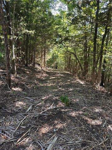 TBD County Road 152 and County Road 1524, Eureka Springs, AR 72632