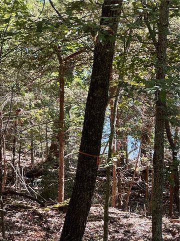TBD County Road 152 and County Road 1524, Eureka Springs, AR 72632