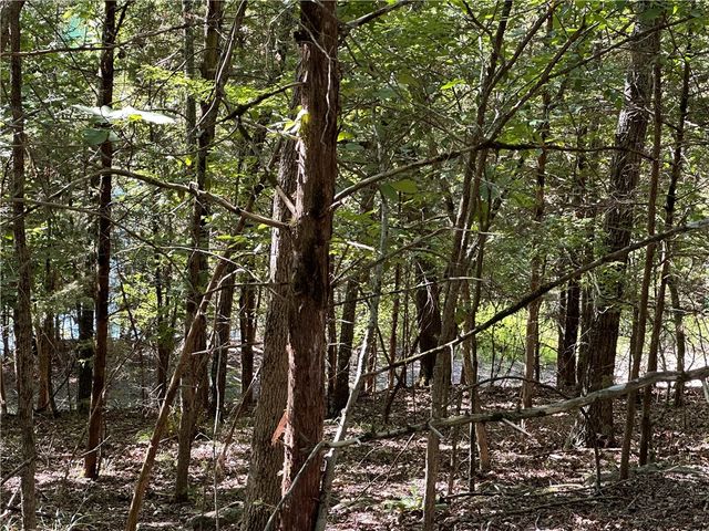 TBD County Road 152 and County Road 1524, Eureka Springs, AR 72632