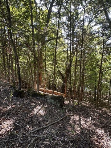 TBD County Road 152 and County Road 1524, Eureka Springs, AR 72632