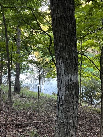 TBD County Road 152 and County Road 1524, Eureka Springs, AR 72632