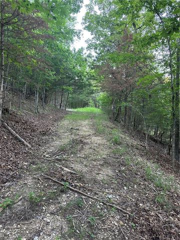 TBD County Road 152 and County Road 1524, Eureka Springs, AR 72632