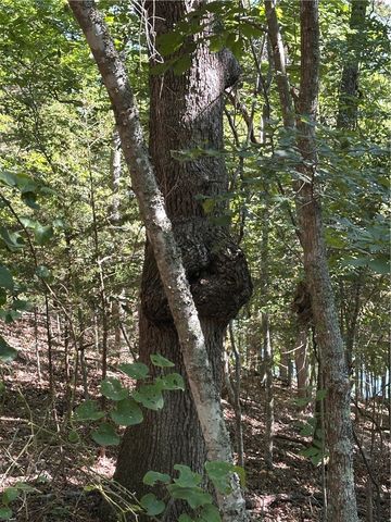 TBD County Road 152 and County Road 1524, Eureka Springs, AR 72632