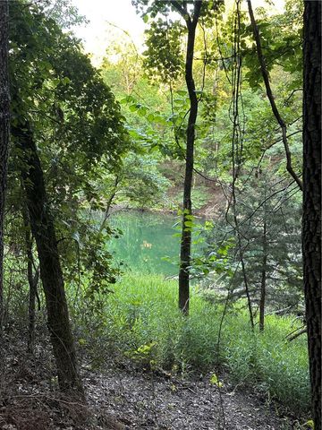 TBD County Road 152 and County Road 1524, Eureka Springs, AR 72632