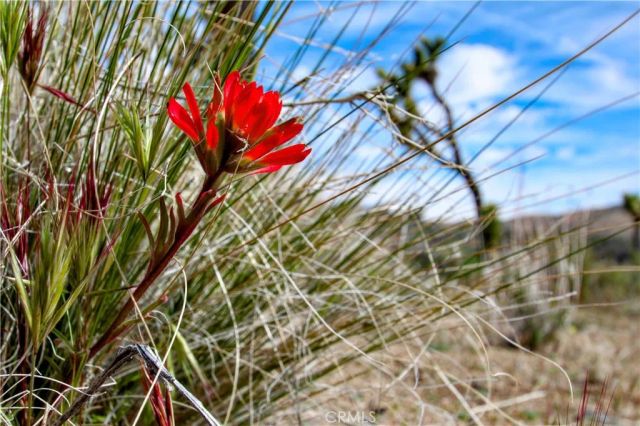 26 Vista, Pioneertown, CA 92356