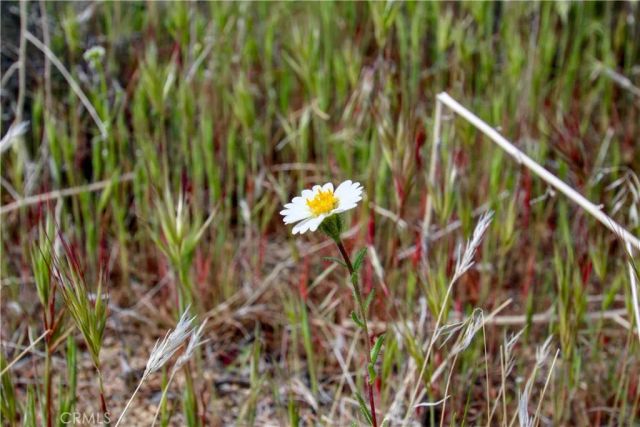 26 Vista, Pioneertown, CA 92356