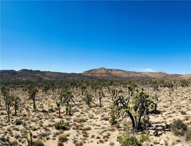 26 Vista, Pioneertown, CA 92356