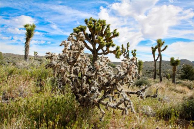 26 Vista, Pioneertown, CA 92356