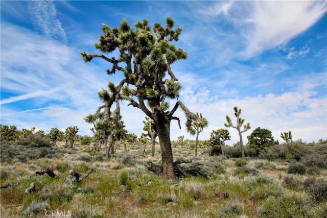 26 Vista, Pioneertown, CA 92356