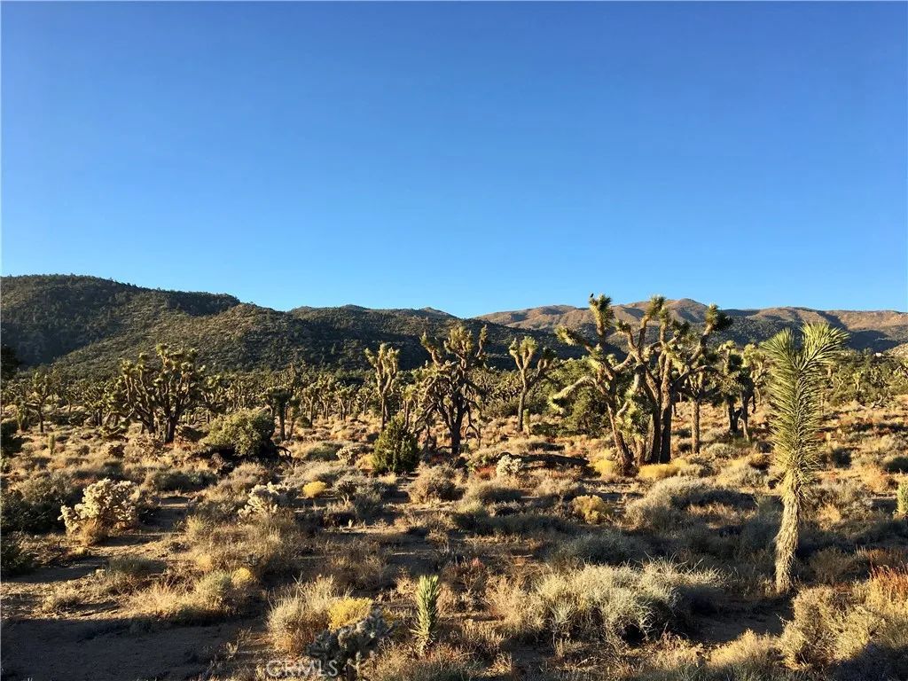 26 Vista, Pioneertown, CA 92356