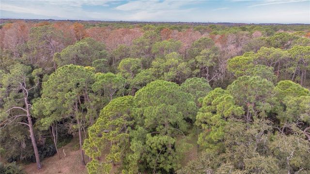 1120 LANYARD STREET, Palm Harbor, FL 34685