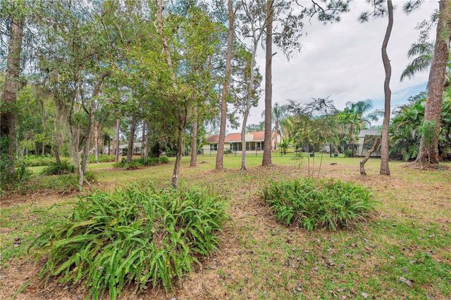 1120 LANYARD STREET, Palm Harbor, FL 34685
