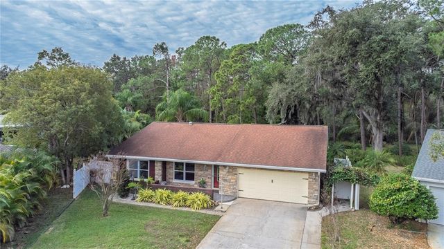 1120 LANYARD STREET, Palm Harbor, FL 34685