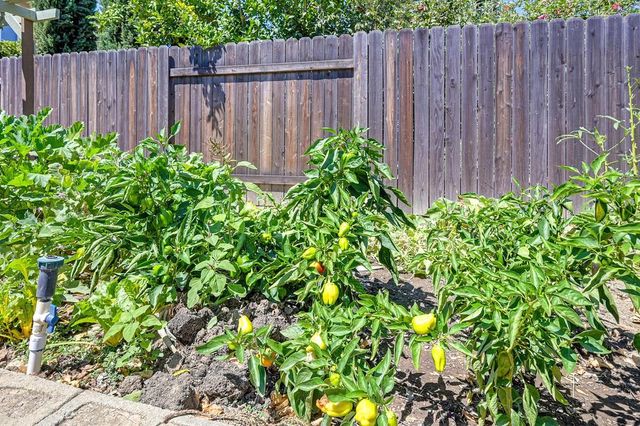 3120 Spinning Rod Way, Sacramento, CA 95833