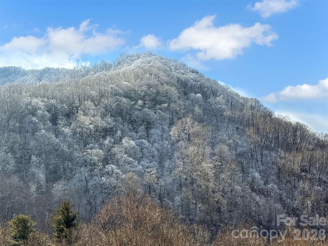 24 Hawthorn Road, Maggie Valley, NC 28785