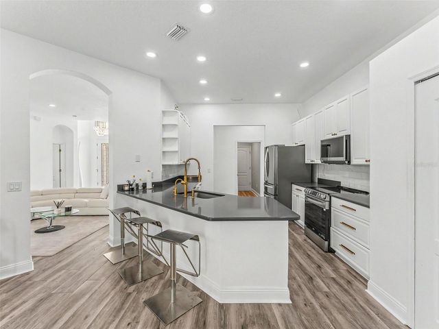 23051 EAGLES WATCH DRIVE, Land O Lakes, FL 34639