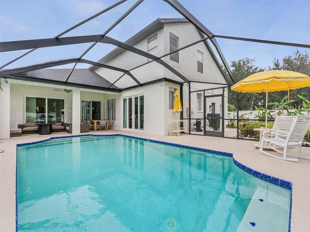 23051 EAGLES WATCH DRIVE, Land O Lakes, FL 34639