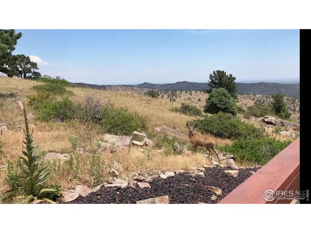 15655 Mossrock Dr, Longmont, CO 80503