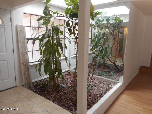 11684 TONY TEJEDA Drive, El Paso, TX 79936