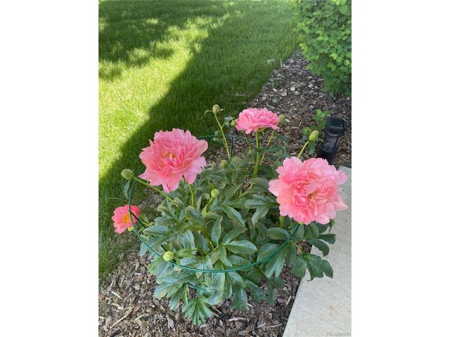 7454 S Norfolk St, Aurora, CO 80016