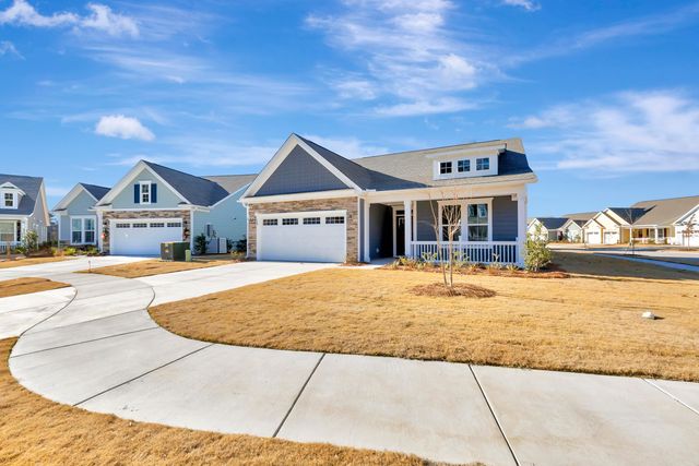 120 Black Stilt Way, Summerville, SC 29483