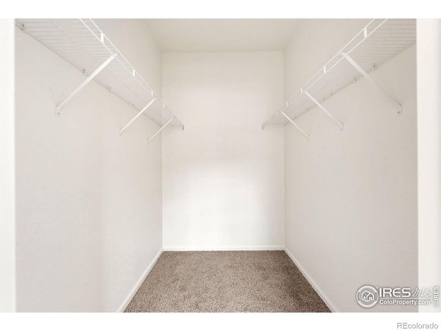 2990 W C Street 63103, Greeley, CO 80631