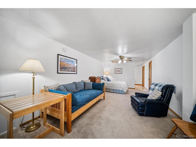 363 Arrowhead Dr, Florissant, CO 80816