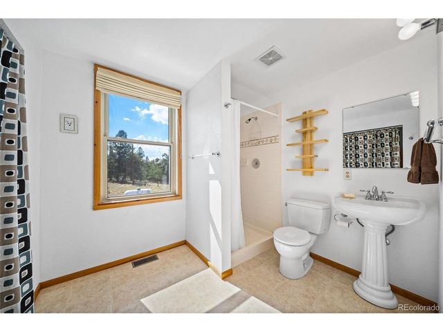 363 Arrowhead Dr, Florissant, CO 80816