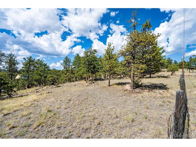 363 Arrowhead Dr, Florissant, CO 80816