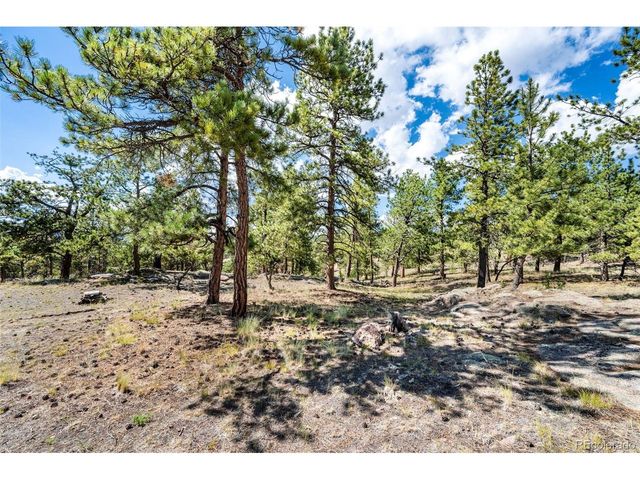 363 Arrowhead Dr, Florissant, CO 80816
