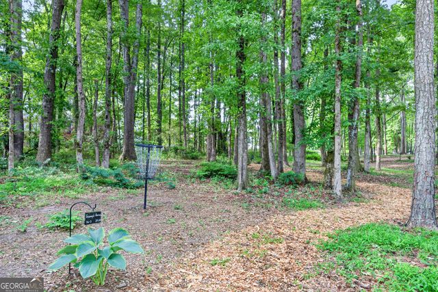 245 Ryans Court, Sharpsburg, GA 30277