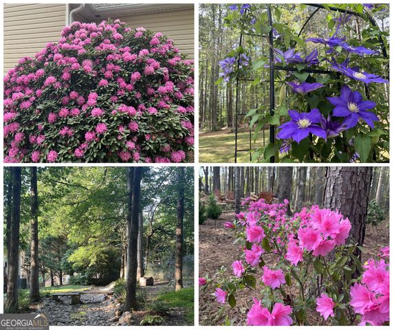 245 Ryans Court, Sharpsburg, GA 30277