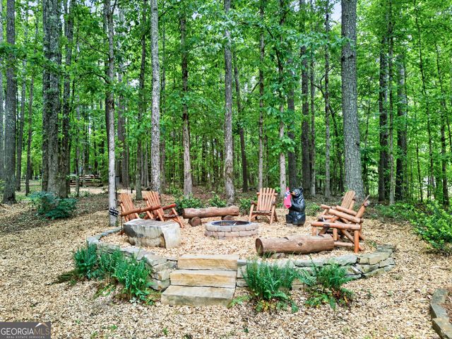 245 Ryans Court, Sharpsburg, GA 30277