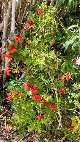 74885 Serrano Dr, 29 Palms, CA 92277