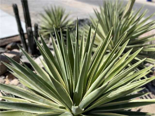 74885 Serrano Dr, 29 Palms, CA 92277