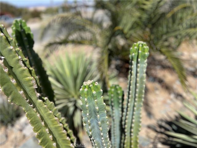 74885 Serrano Dr, 29 Palms, CA 92277