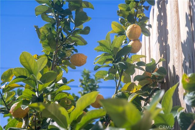 74885 Serrano Dr, 29 Palms, CA 92277