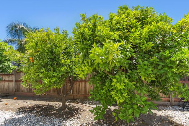 3750 Argonaut Ave, Rocklin, CA 95677