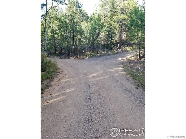 4200 Conifer Hill Road, Lyons, CO 80540