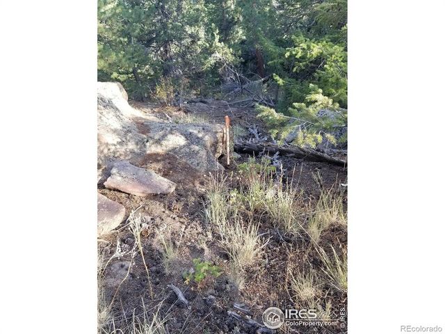 4200 Conifer Hill Road, Lyons, CO 80540