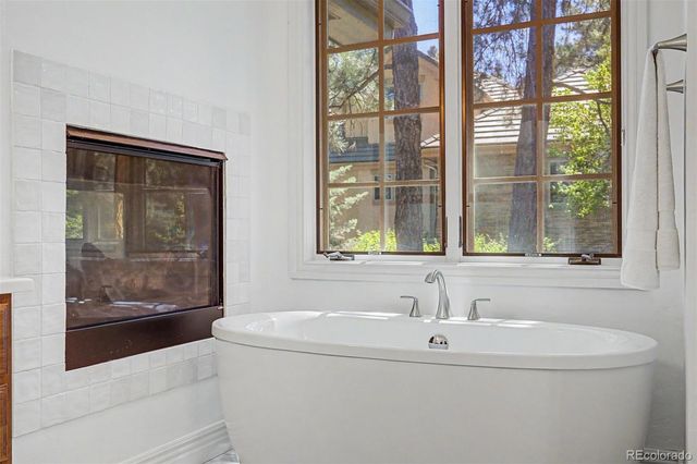 5270 Red Pass Lane, Castle Rock, CO 80108