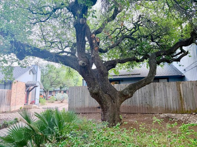 1411 Gracy Farms LN unit #96, Austin, TX 78758