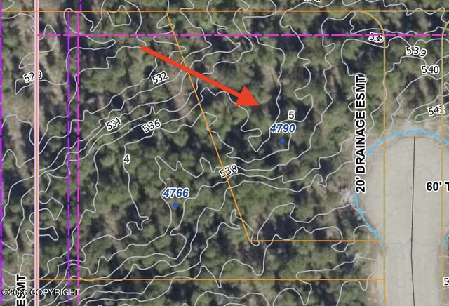 4790 N Shanny Lane, Wasilla, AK 99654