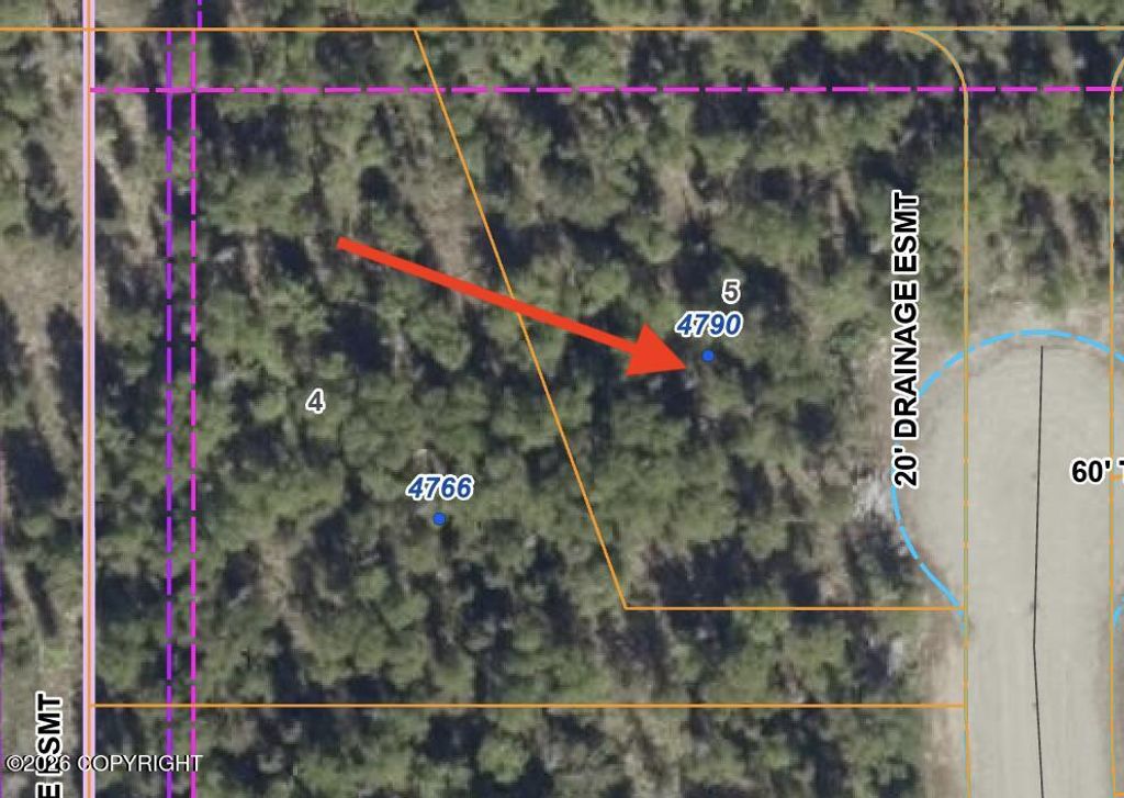 4790 N Shanny Lane, Wasilla, AK 99654